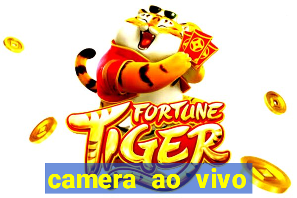 camera ao vivo beto carrero